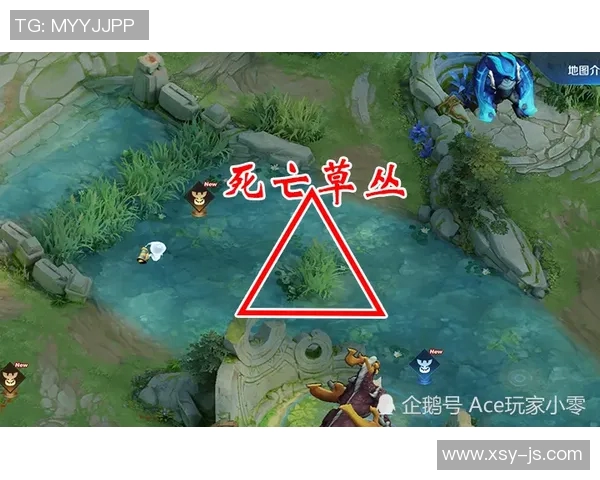 揭秘王者荣耀成功背后的秘密专访吴强分享游戏运营与玩家心理的深度分析 揭秘王者荣耀成功背后的秘密专访吴强分享游戏运营与玩家心理的深度分析