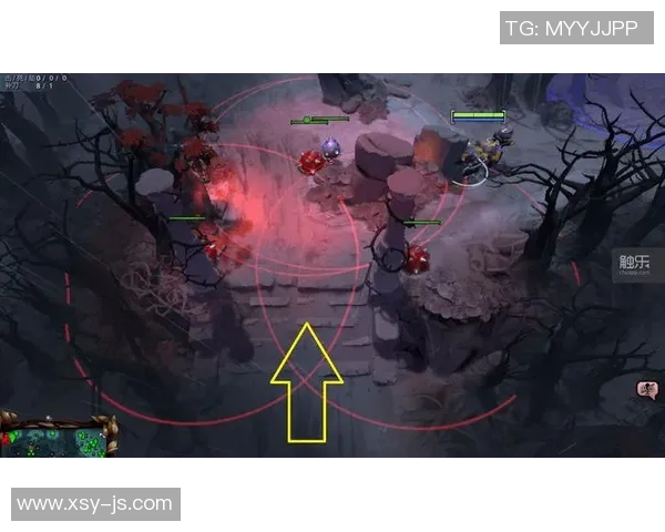 DOTA2战术V5区域防守体系解析与实战应用探讨